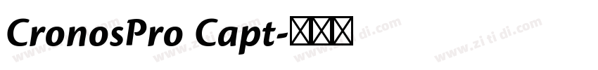 CronosPro Capt字体转换